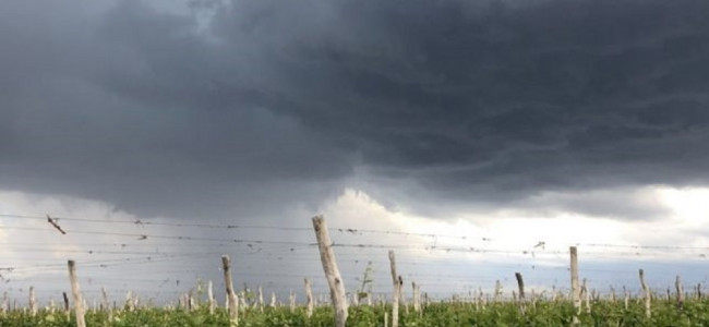 Viviendas inundadas y calles anegadas, entre los saldos de la fuerte tormenta del domingo