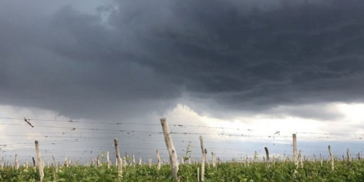 Viviendas inundadas y calles anegadas, entre los saldos de la fuerte tormenta del domingo