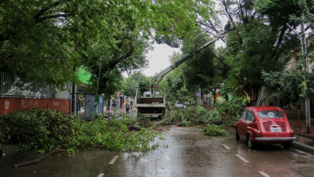 imagen Unas 40 viviendas fueron afectadas por la tormenta de anoche