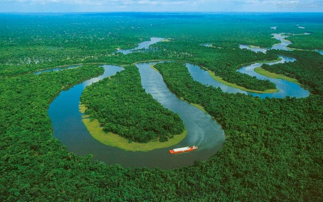 Brasil entregó una reserva natural de la Amazonia a la minería privada 
