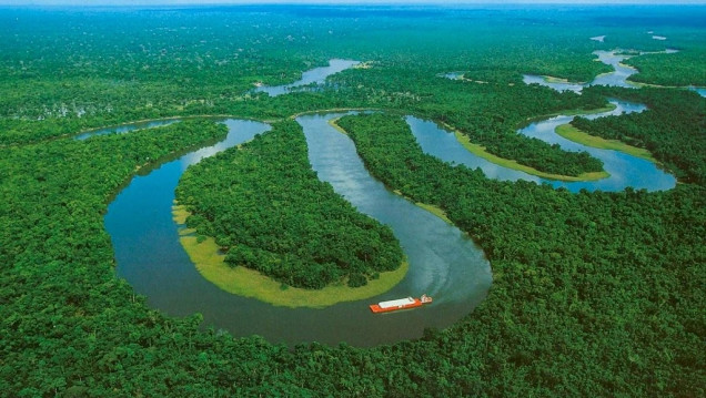 imagen Brasil entregó una reserva natural de la Amazonia a la minería privada