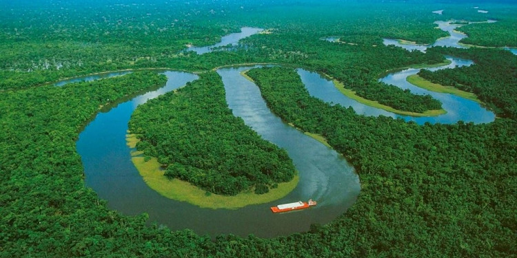 Brasil entregó una reserva natural de la Amazonia a la minería privada 