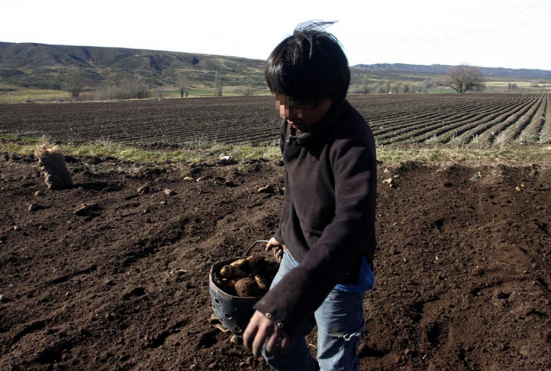 En Argentina trabajan 8 millones de niños