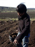 En Argentina trabajan 8 millones de niños