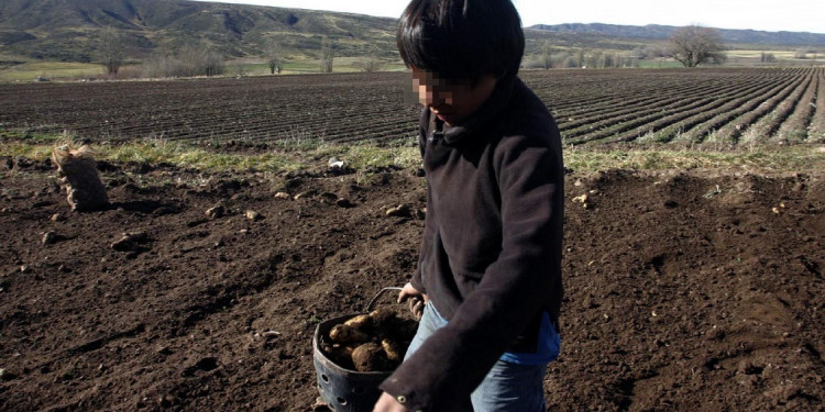 En Argentina trabajan 8 millones de niños