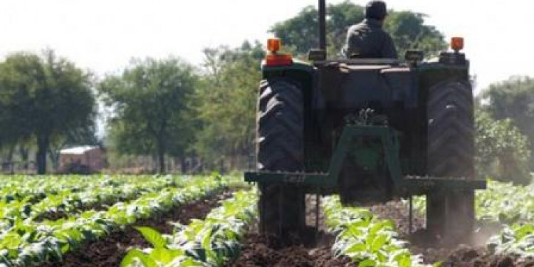 Nasif: "En Mendoza más de 100.000 trabajadores agrarios están desprotegidos"