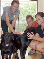 Investigan sobre el comportamiento canino 