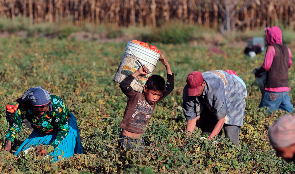 imagen Inmigrantes, la semilla nacional