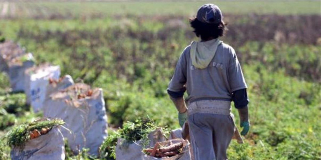 "Libre de trabajo infantil", una certificación necesaria