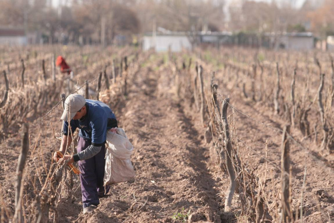 "Hay trabajo decente en la medida en que no hay ni trata, ni trabajo infantil, ni trabajo forzoso"