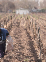 "Hay trabajo decente en la medida en que no hay ni trata, ni trabajo infantil, ni trabajo forzoso"