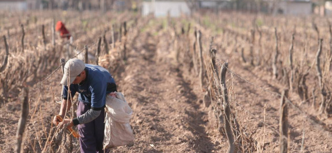 "Hay trabajo decente en la medida en que no hay ni trata, ni trabajo infantil, ni trabajo forzoso"