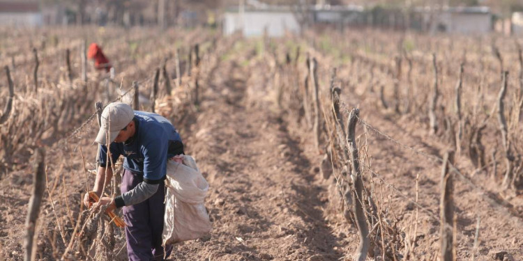 "Hay trabajo decente en la medida en que no hay ni trata, ni trabajo infantil, ni trabajo forzoso"