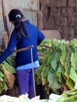 Las políticas y estrategias para eliminar todas las formas de trabajo infantil en la Argentina
