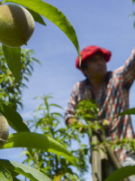 Los efectos de la pandemia profundizaron las diferencias laborales en Argentina 