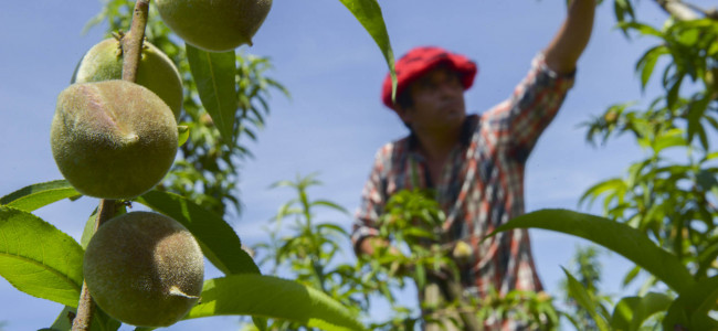 Los efectos de la pandemia profundizaron las diferencias laborales en Argentina 