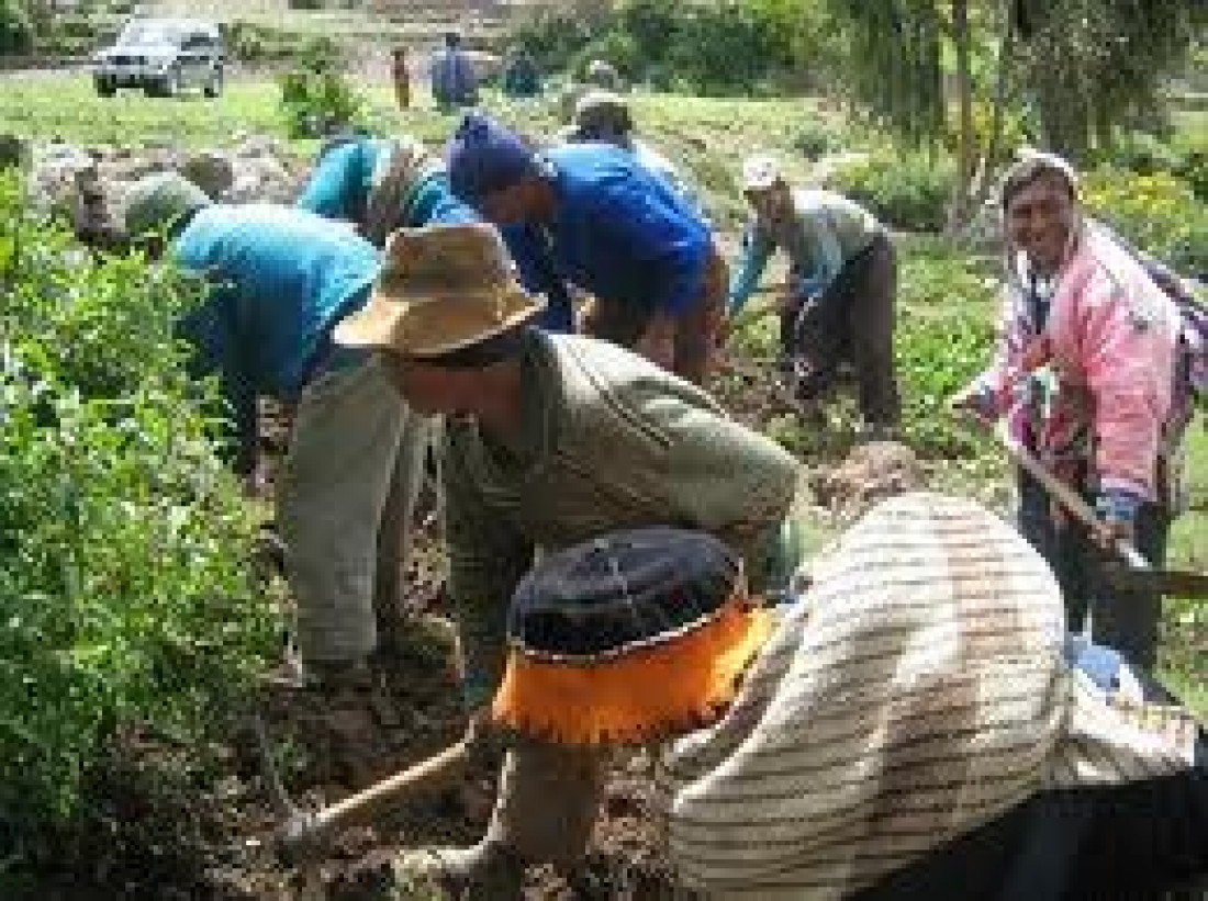 Trabajo rural: Esclavizan a los peones y evaden impuestos