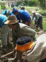 Trabajo rural: Esclavizan a los peones y evaden impuestos