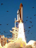 Histórico: hallaron restos del transbordador Challenger de la NASA en la costa este de Florida