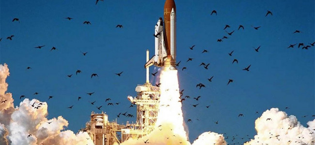 Histórico: hallaron restos del transbordador Challenger de la NASA en la costa este de Florida