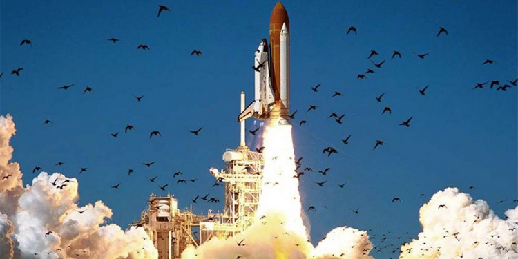 Histórico: hallaron restos del transbordador Challenger de la NASA en la costa este de Florida