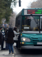 Calcagni dice que paró entre el 75 % y el 85 % de los colectiveros