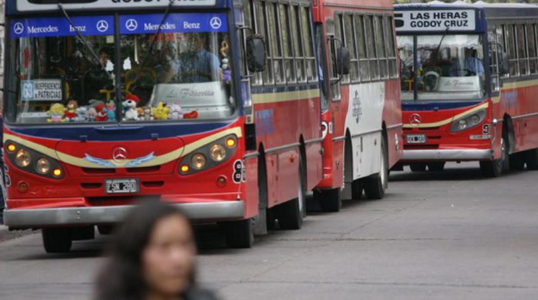 Protectora reclama que el Ejecutivo garantice el servicio de colectivos