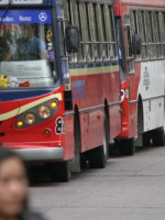 Protectora reclama que el Ejecutivo garantice el servicio de colectivos
