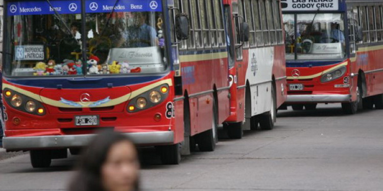 Protectora reclama que el Ejecutivo garantice el servicio de colectivos