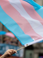 El travesticidio social: una violencia estructural hacia el colectivo travesti trans 
