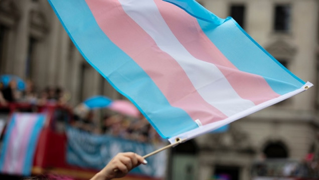 imagen El travesticidio social: una violencia estructural hacia el colectivo travesti trans 