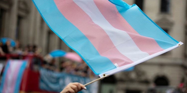 El travesticidio social: una violencia estructural hacia el colectivo travesti trans 