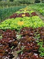 Columna Ecológica en LA POSTA