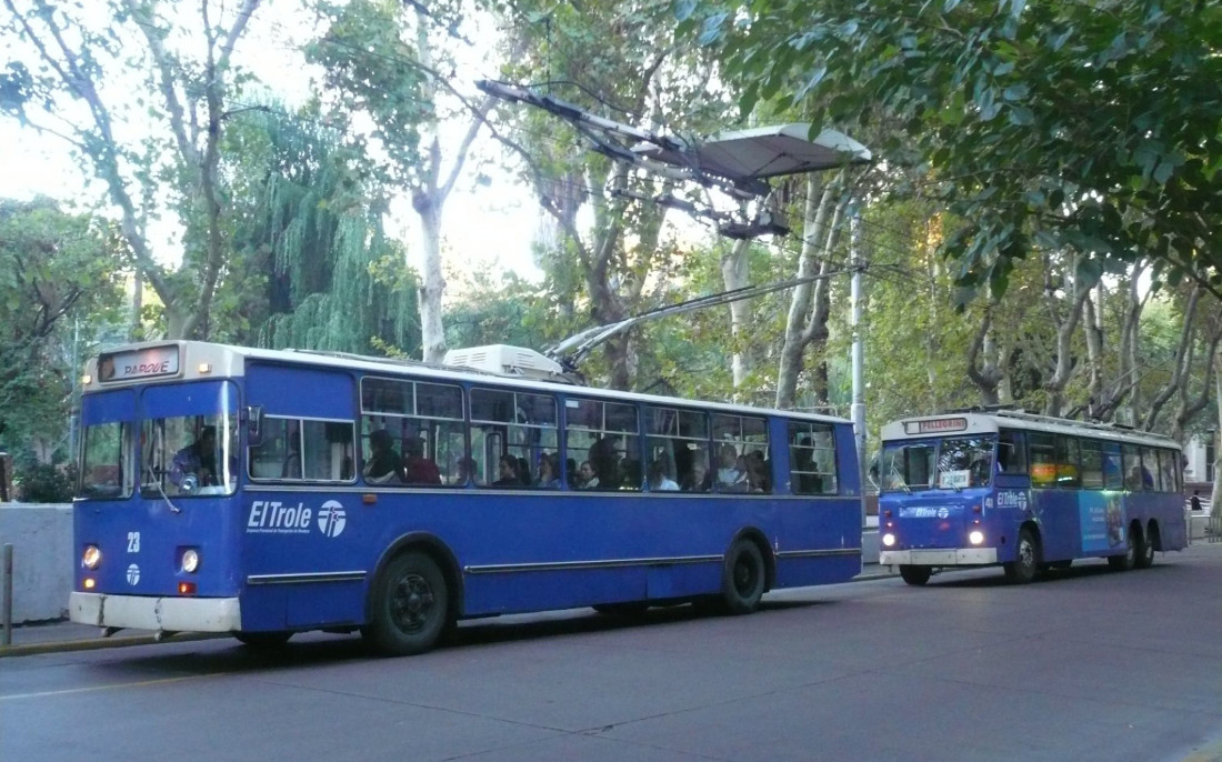 Explicaron por qué los troles van a remate