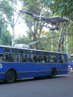 Explicaron por qué los troles van a remate