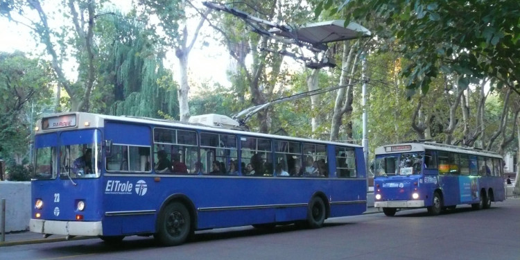 Explicaron por qué los troles van a remate