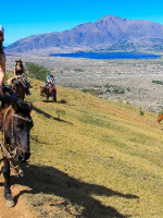 "El 2023 será el año del turismo y se romperán todos los récords"