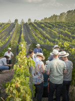 Turistas eligen "bodeguear", tomar vino y pasear en bus con chofer asignado