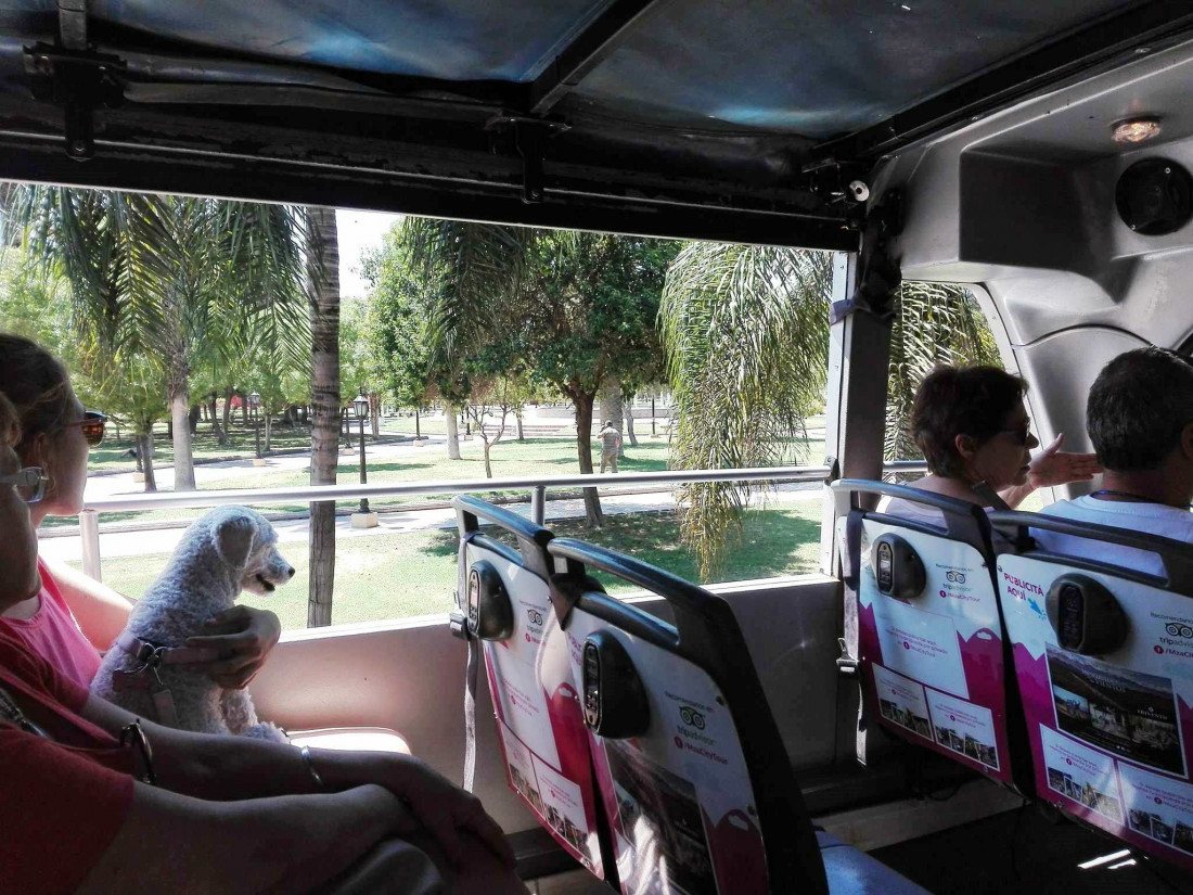 City Tour por la Ciudad: una aventura descapotable