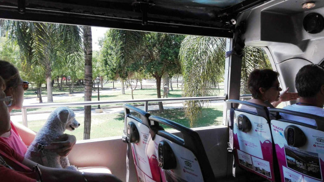 imagen City Tour por la Ciudad: una aventura descapotable