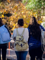 Solo el 24% de las personas en Argentina tiene título terciario o universitario
