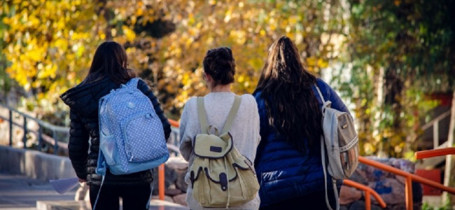 Solo el 24% de las personas en Argentina tiene título terciario o universitario