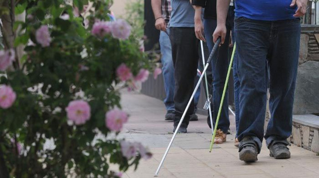 15 de Marzo: Día Nacional de la Accesibilidad