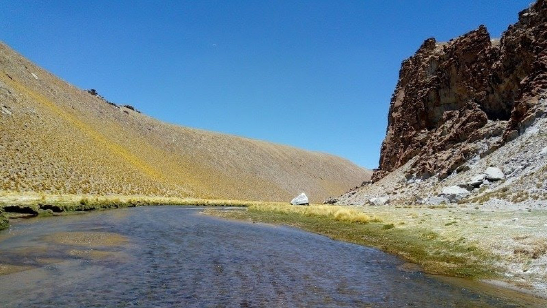 Denuncian la extracción de litio en Catamarca que pondría en peligro el río Los Patos