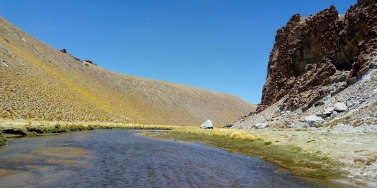 Denuncian la extracción de litio en Catamarca que pondría en peligro el río Los Patos