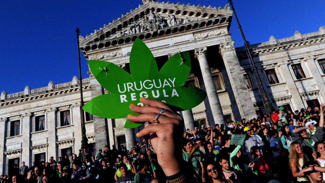 Ya se puede comprar marihuana para recreación en farmacias de Uruguay