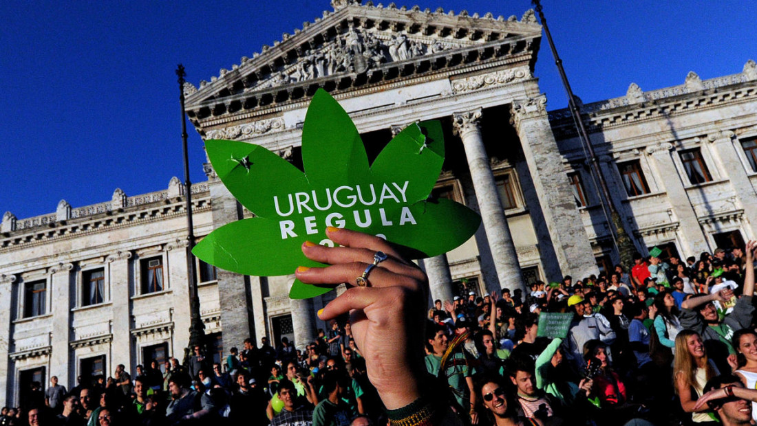 Ya se puede comprar marihuana para recreación en farmacias de Uruguay