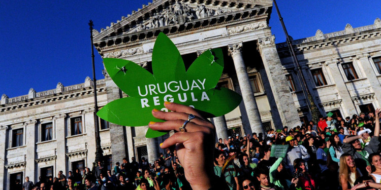 Ya se puede comprar marihuana para recreación en farmacias de Uruguay