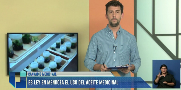 MENDOZA YA TIENE LEY QUE REGULA EL USO DEL CANNABIS MEDICINAL