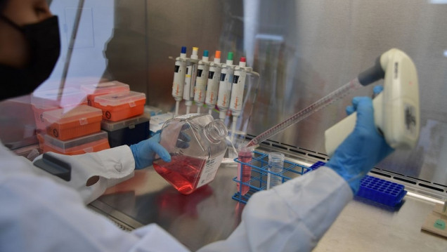 imagen Equipos científicos de Conicet trabajan en la cura del cáncer a través de una vacuna e inmunoterapia